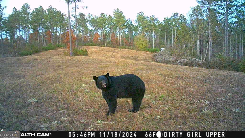 1 Josh Ward Road Summerville, GA 30747 - Photo 18 of 18