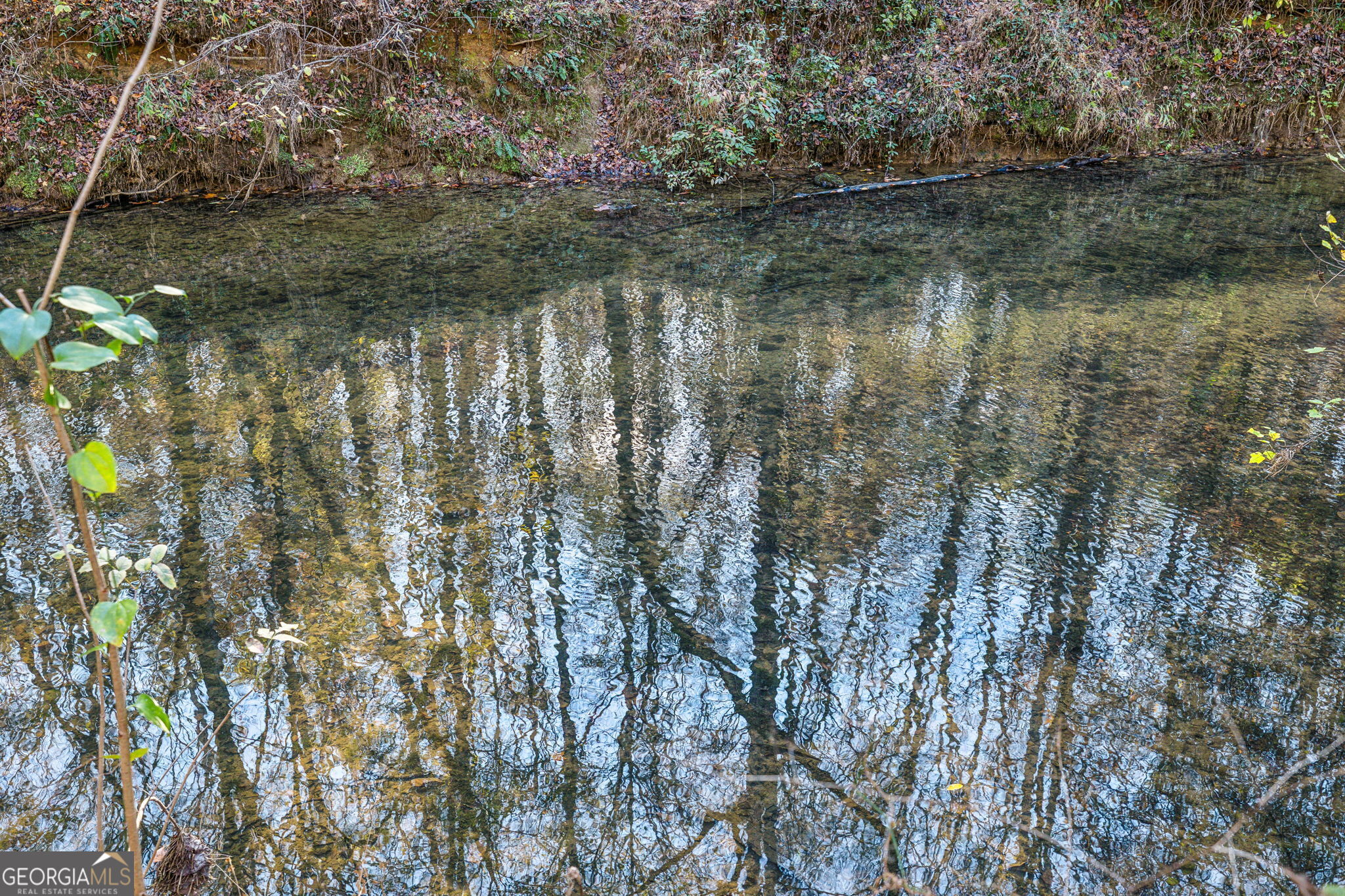 1 Josh Ward Road Summerville, GA 30747 - Photo 4 of 18