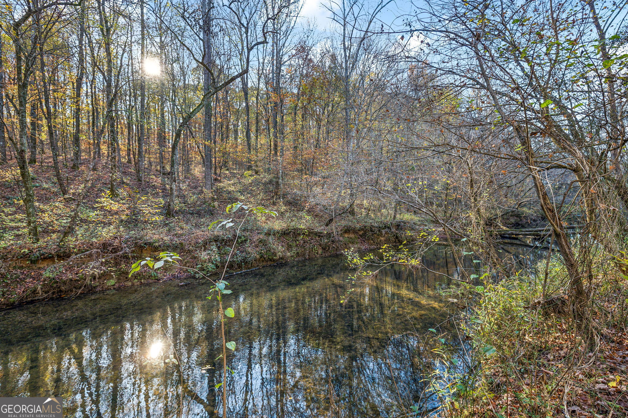 1 Josh Ward Road Summerville, GA 30747 - Photo 5 of 18