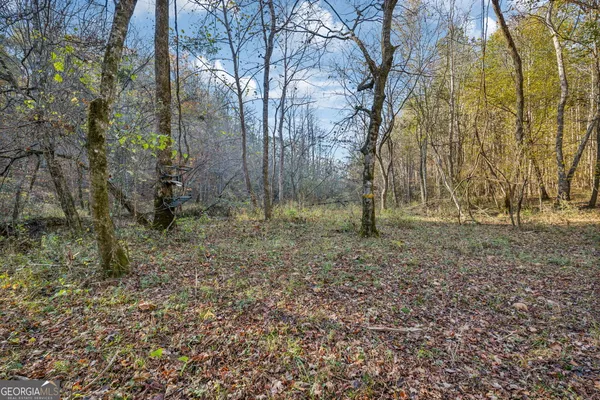 $939,900 | 1 Josh Ward Road, Summerville, GA 30747