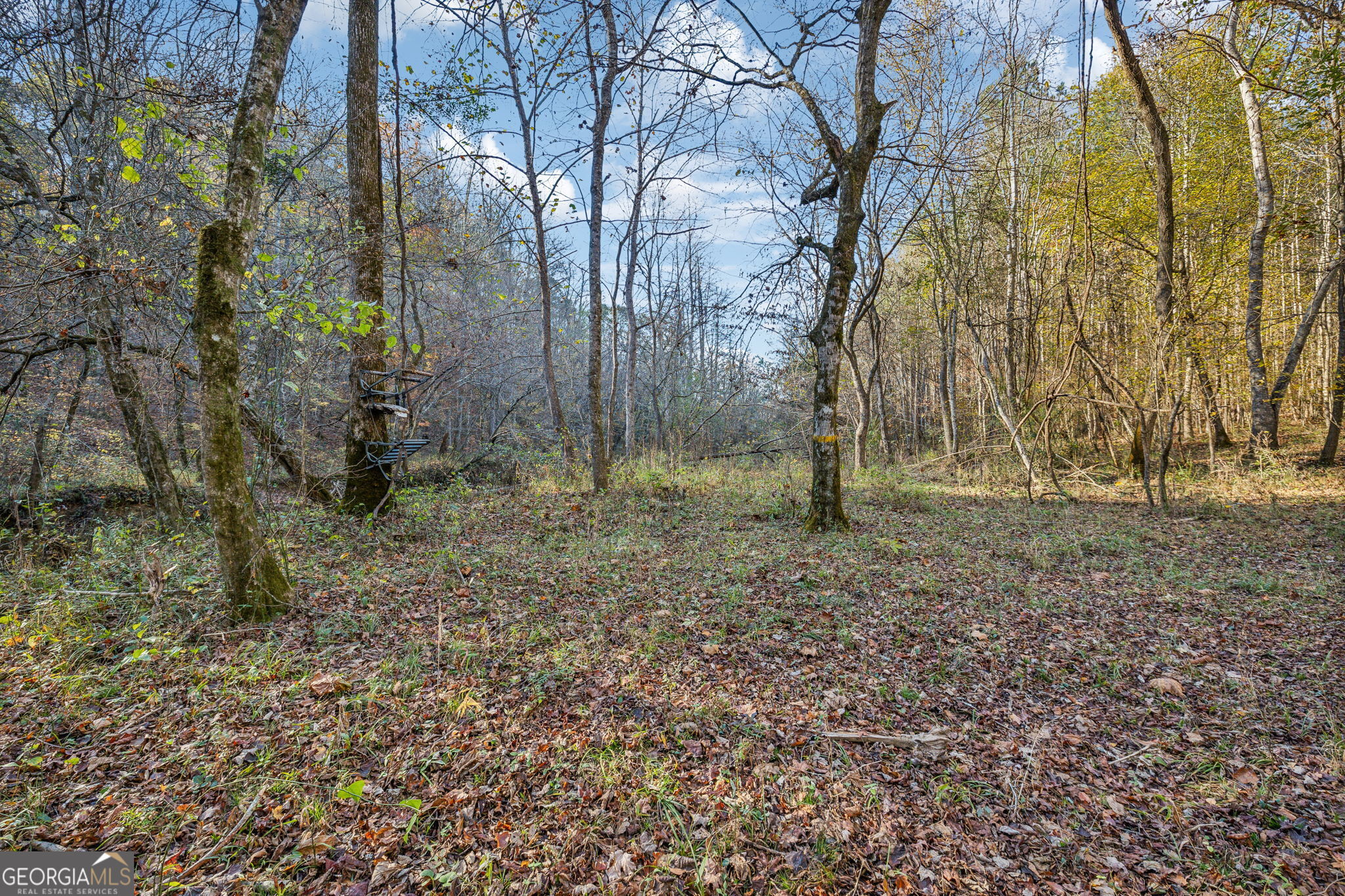 1 Josh Ward Road Summerville, GA 30747 - Photo 6 of 18