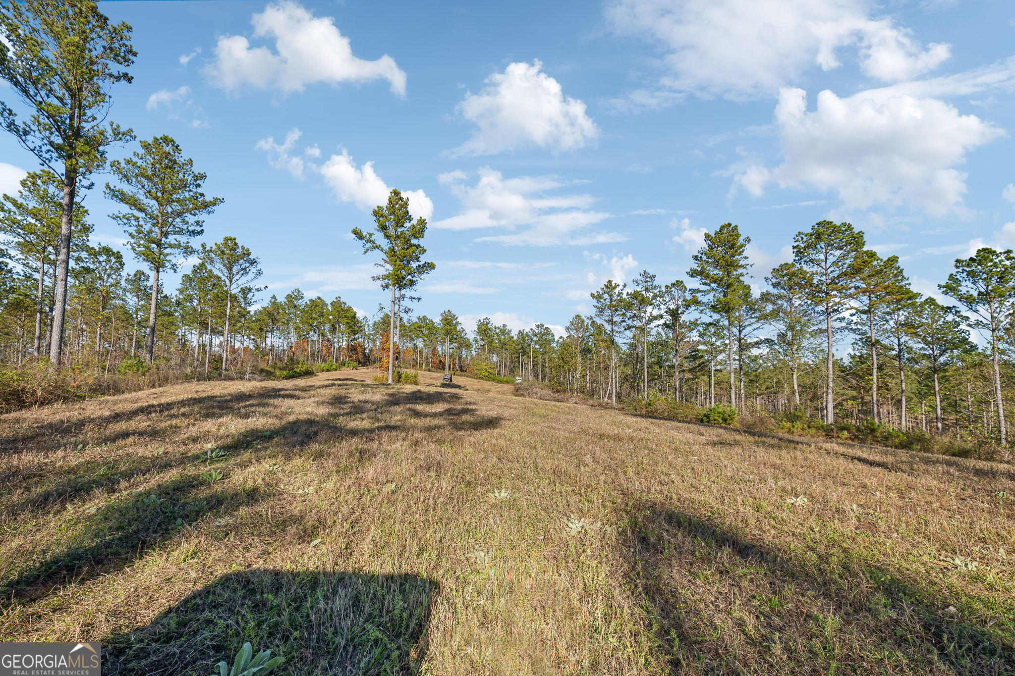 1 Josh Ward Road Summerville, GA 30747 - Photo 7 of 18