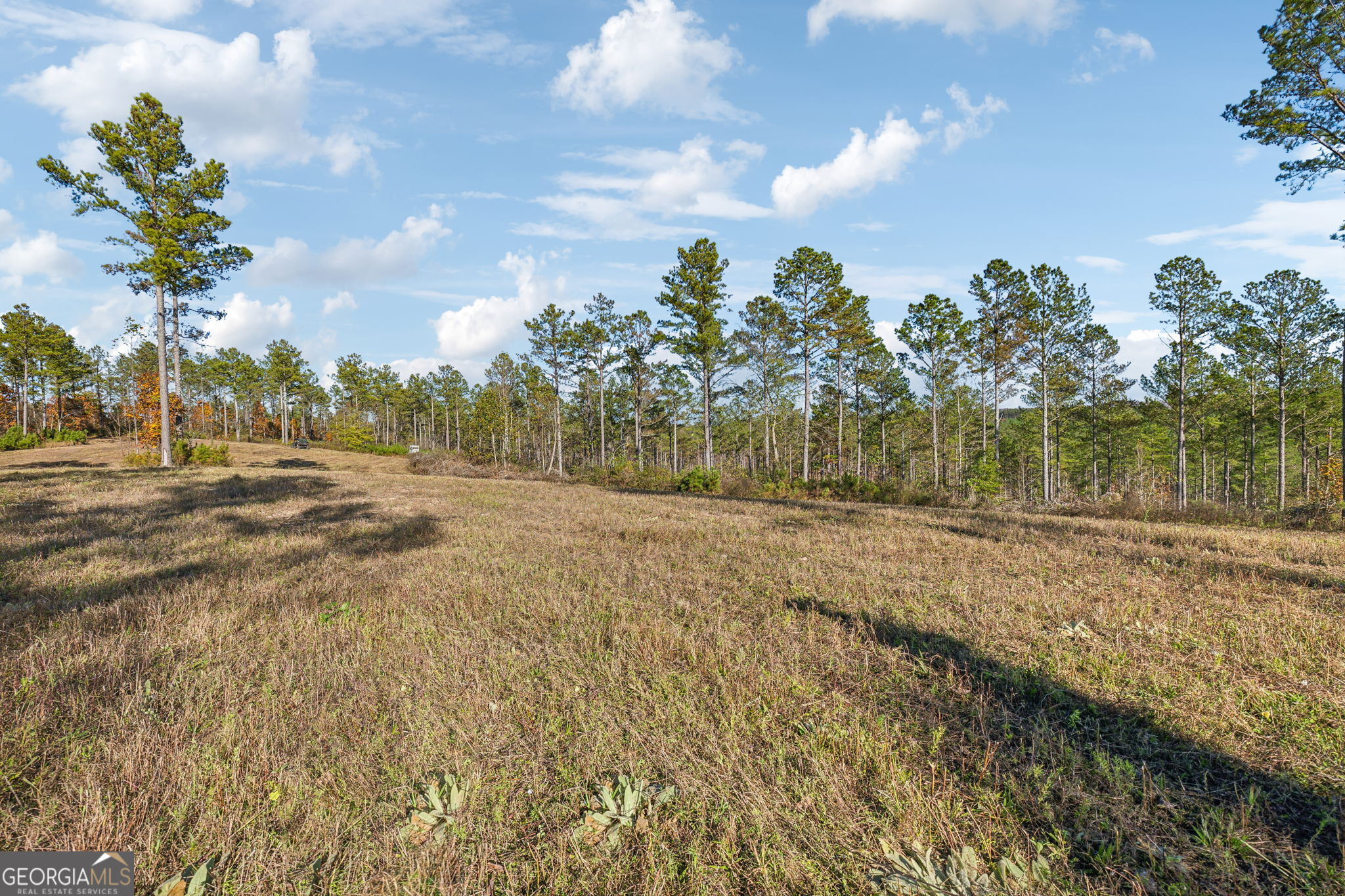 1 Josh Ward Road Summerville, GA 30747 - Photo 8 of 18