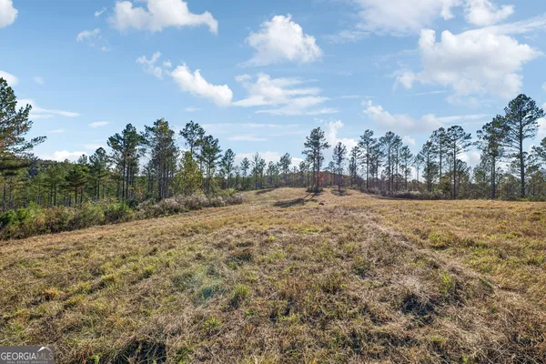 $939,900 | 1 Josh Ward Road, Summerville, GA 30747