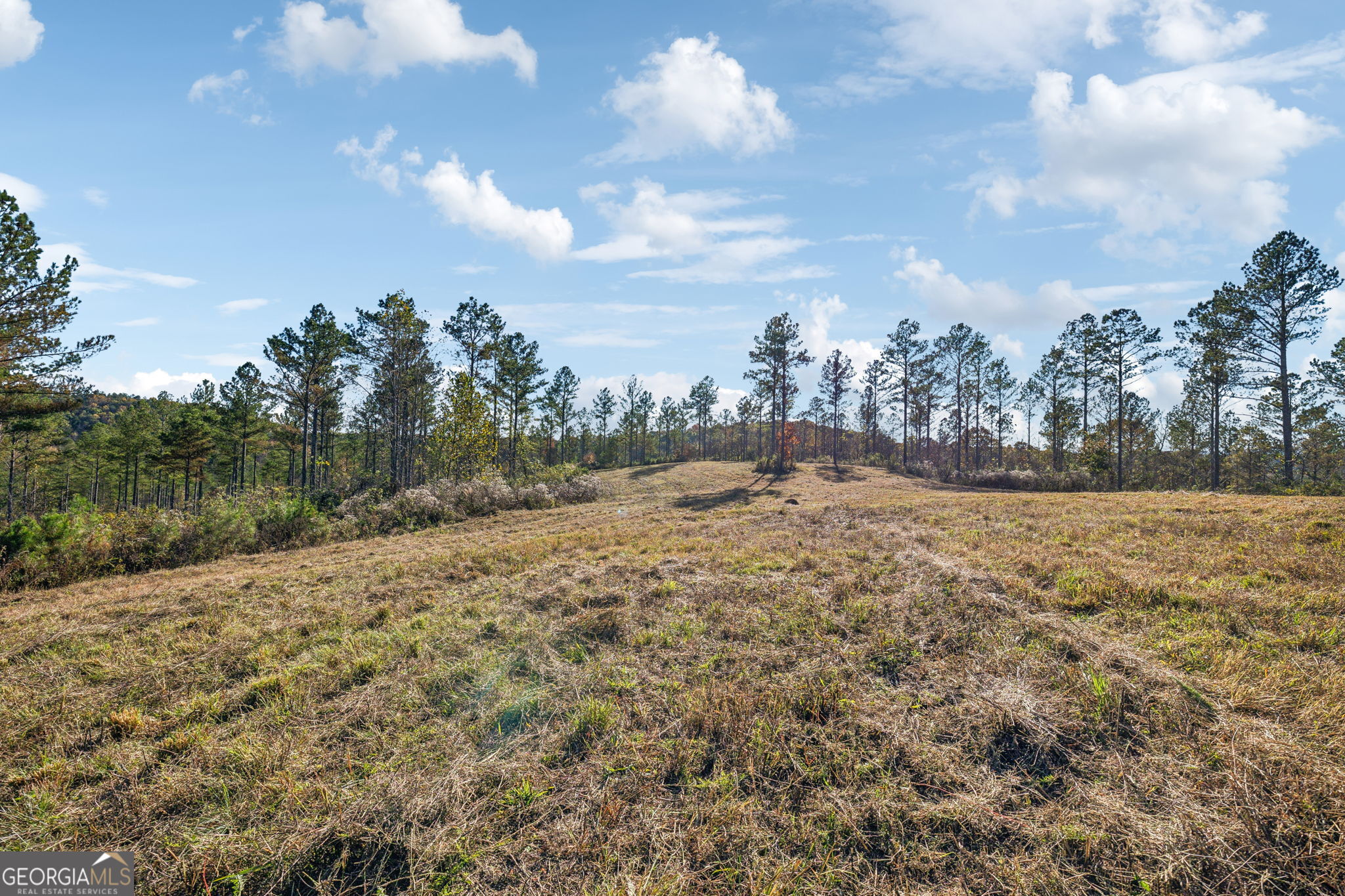 1 Josh Ward Road Summerville, GA 30747 - Photo 9 of 18