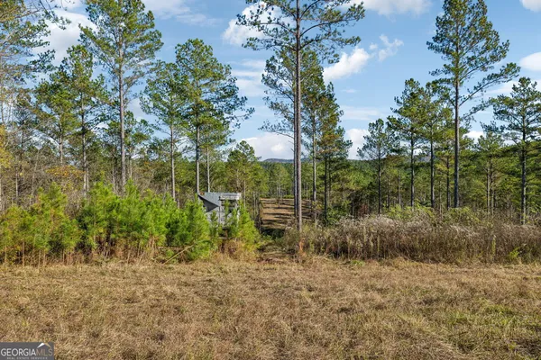$939,900 | 1 Josh Ward Road, Summerville, GA 30747