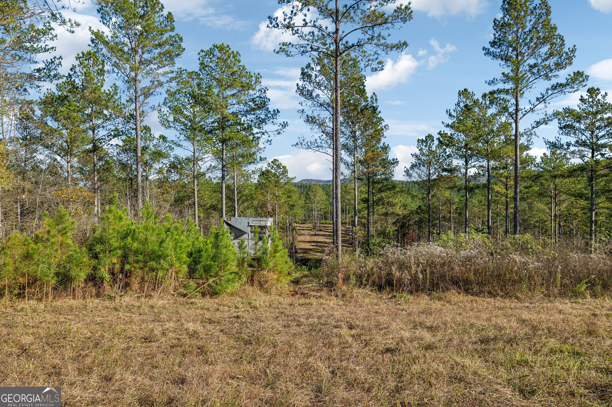 1 Josh Ward Road Summerville, GA 30747 - Photo 10 of 18