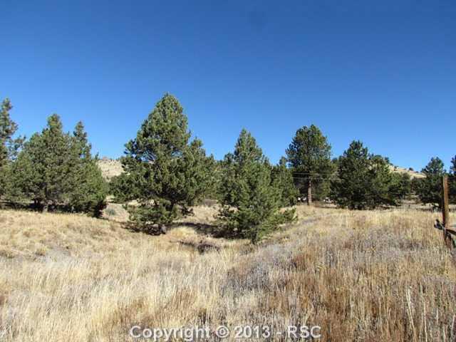 80 Post Road Guffey, CO 80820 - Photo 24 of 24 Gallery Image 24