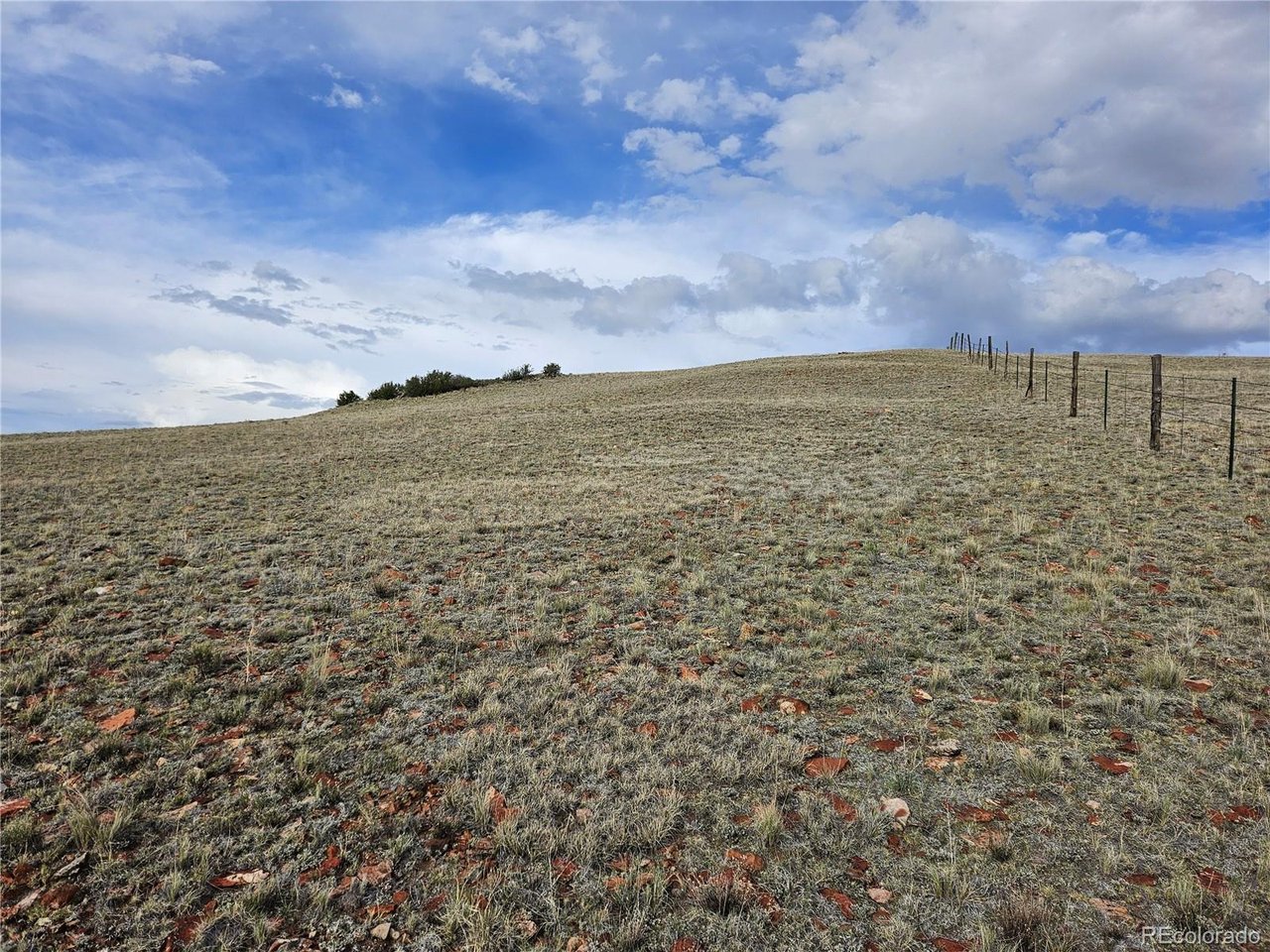 24139 Antero Road Hartsel, CO 80449 - Photo 15 of 35