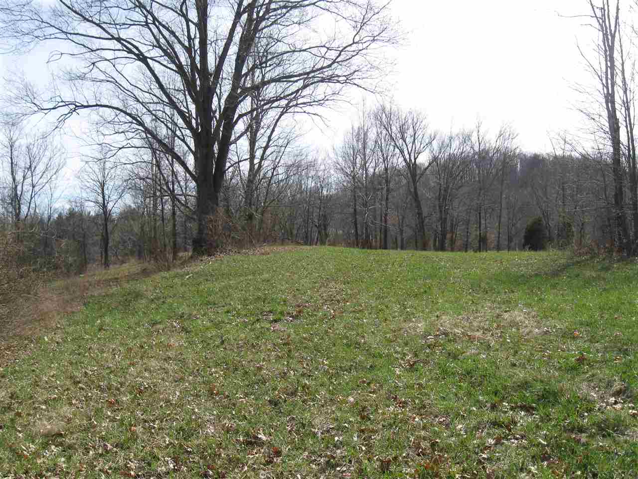 8 Deer Creek Road Cannelton, IN 47520 - Photo 11 of 11 Gallery Image 11