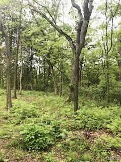 1145 Eureka Road Eureka, MO 63025 - Photo 23 of 29 Gallery Image 23