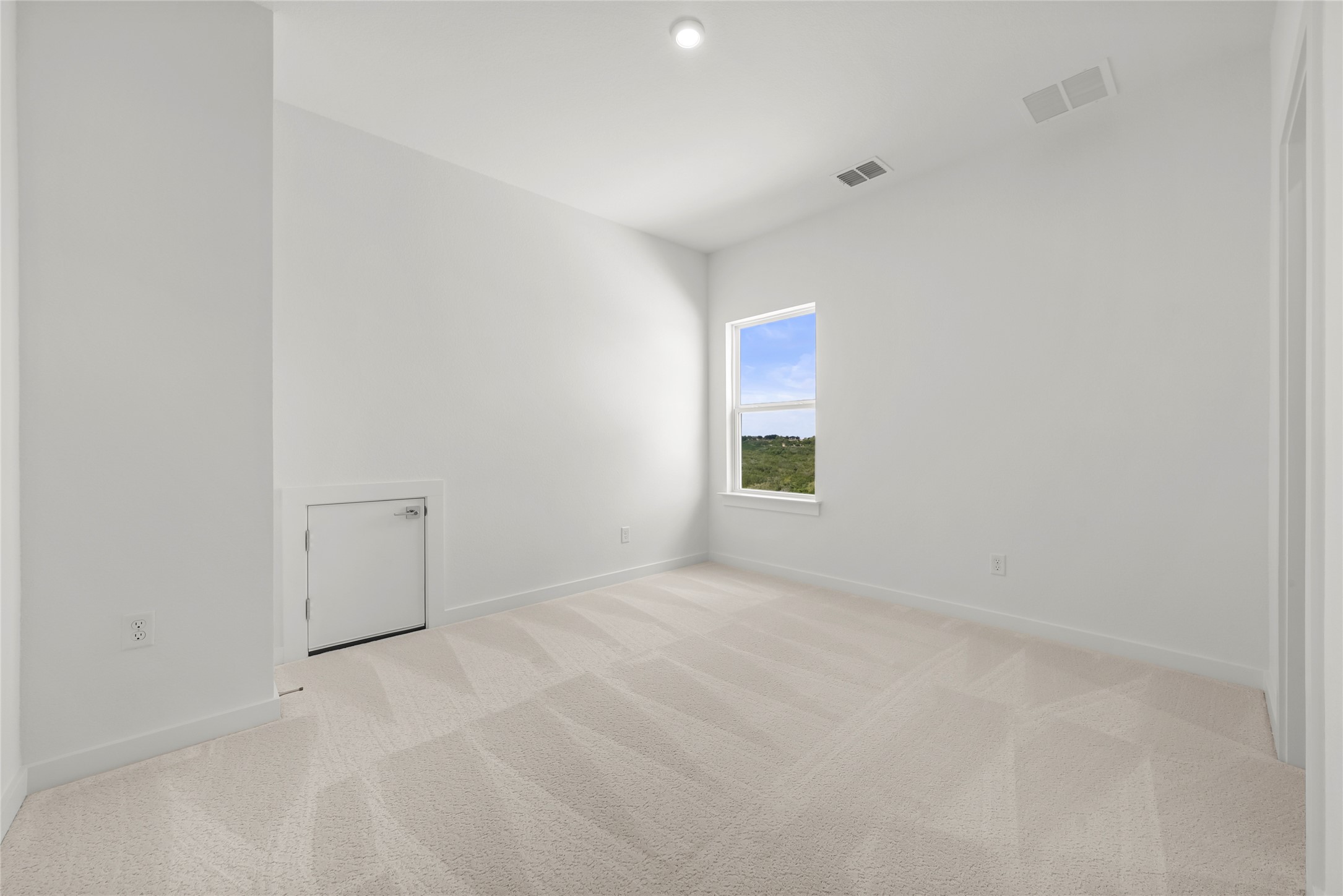 798 Iron Willow Loop Dripping Springs, TX 78620 - Photo 15 of 25