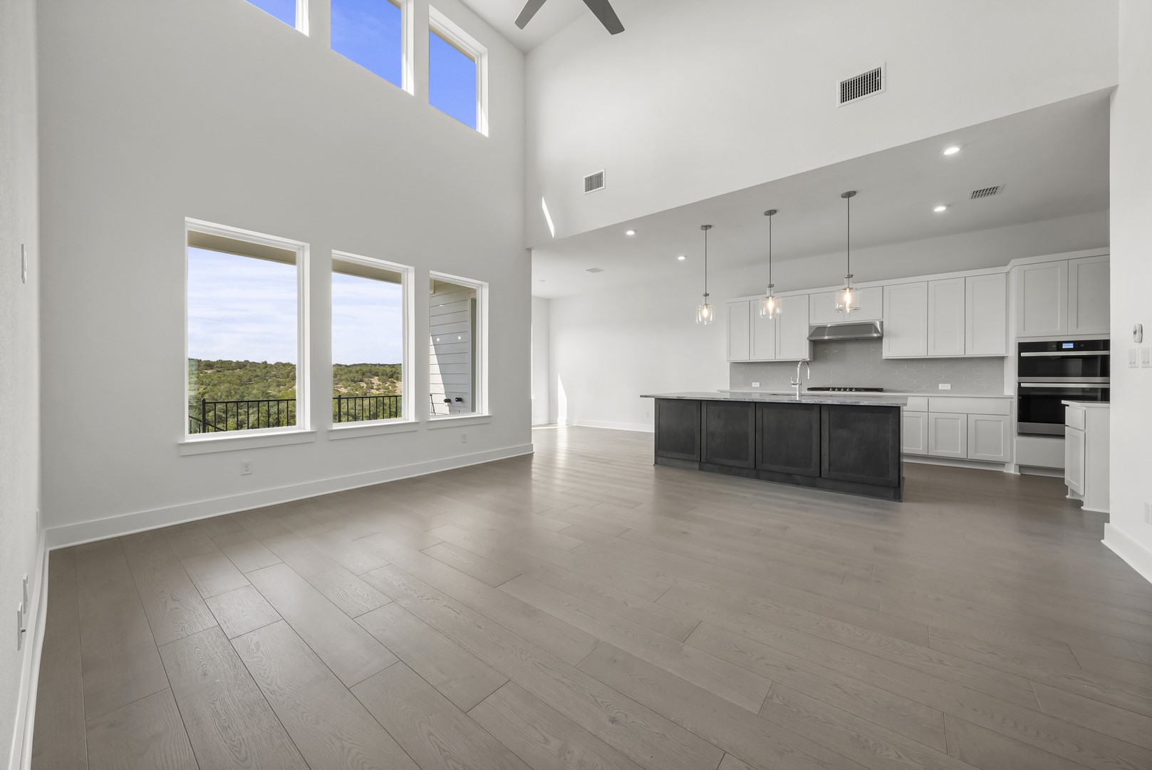 798 Iron Willow Loop Dripping Springs, TX 78620 - Photo 5 of 25