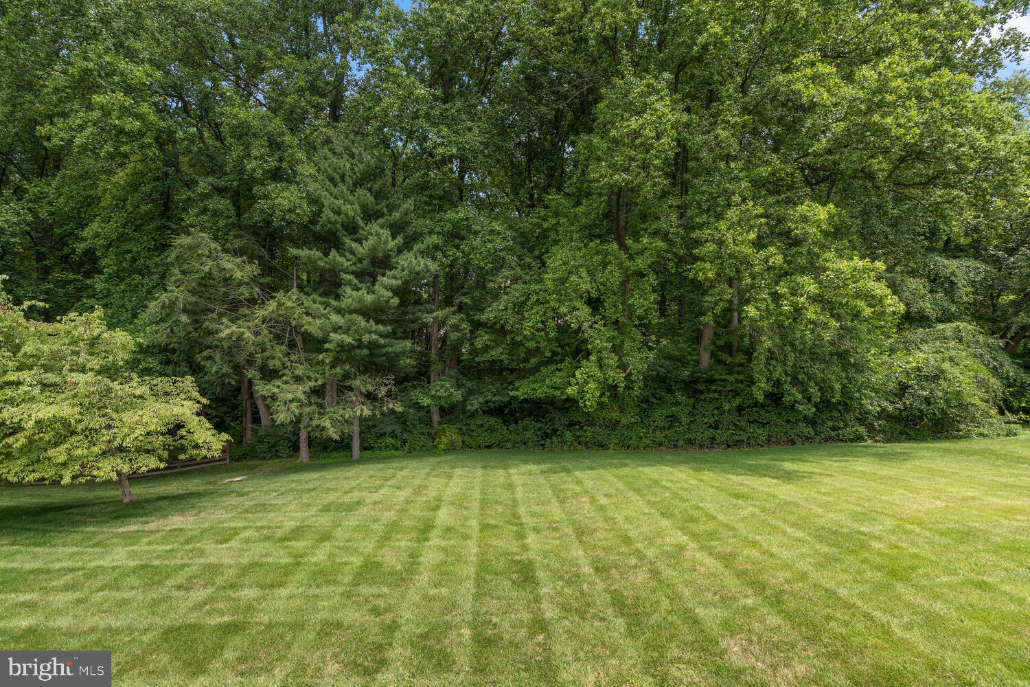 2404 Falling Creek Road Silver Spring, MD 20904 - Photo 44 of 47 Backyard
