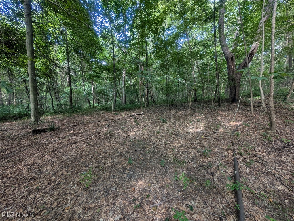 Toll Gate Road Northwest Somerset, OH 43783 - Photo 12 of 40 View of woods