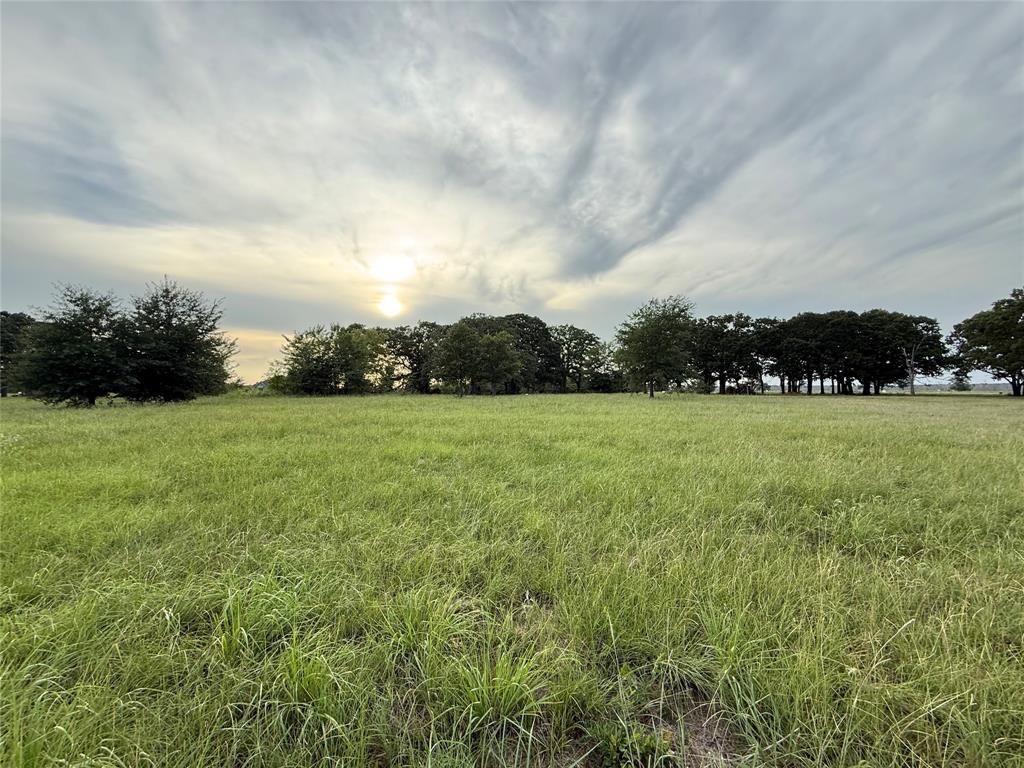 Lot 95 Water Edge Way Bonham, TX 75418 - Photo 16 of 21 a view of a green field with wooden fence