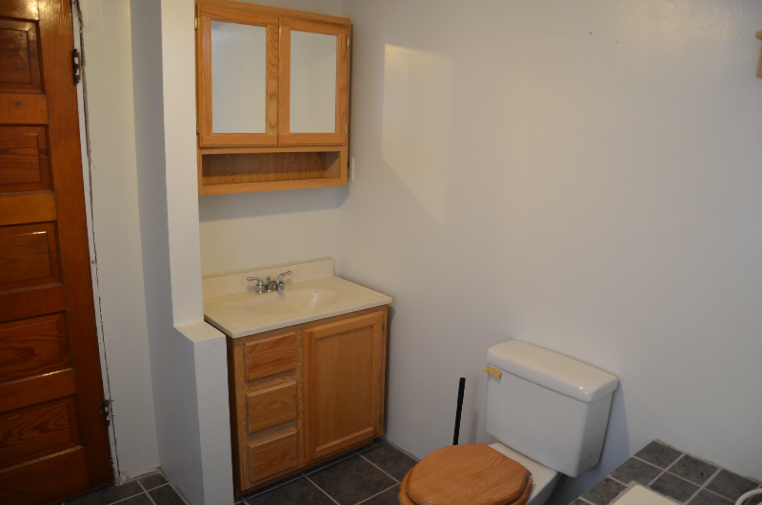 8625 Milo Road Delton, MI 49046 - Photo 30 of 31 basement bath 3