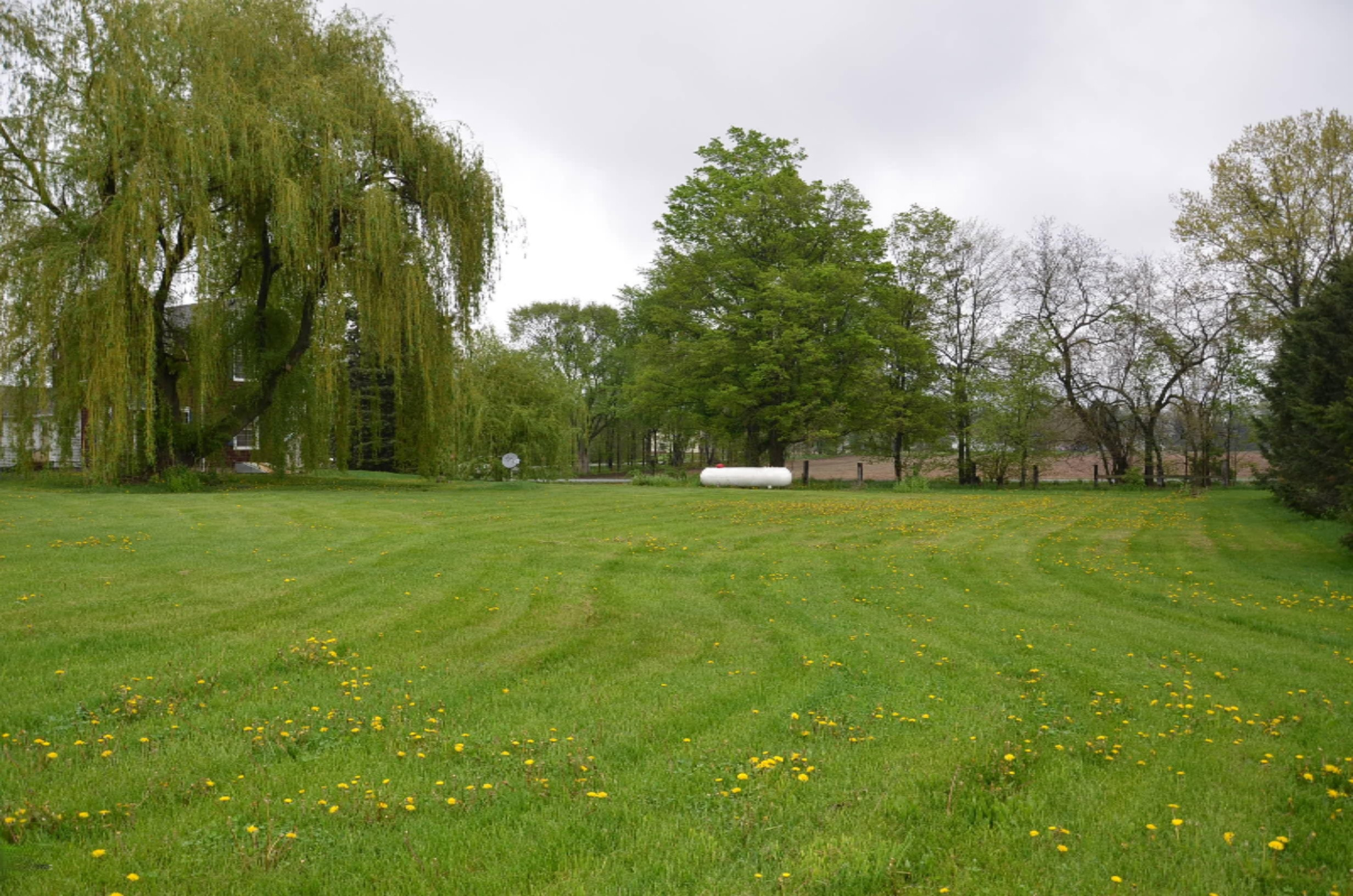 8625 Milo Road Delton, MI 49046 - Photo 31 of 31 DSC_9521