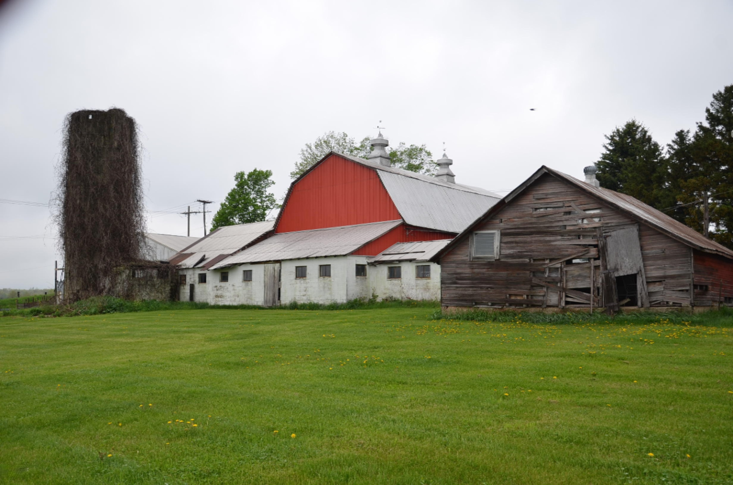 8625 Milo Road Delton, MI 49046 - Photo 4 of 31 DSC_9519
