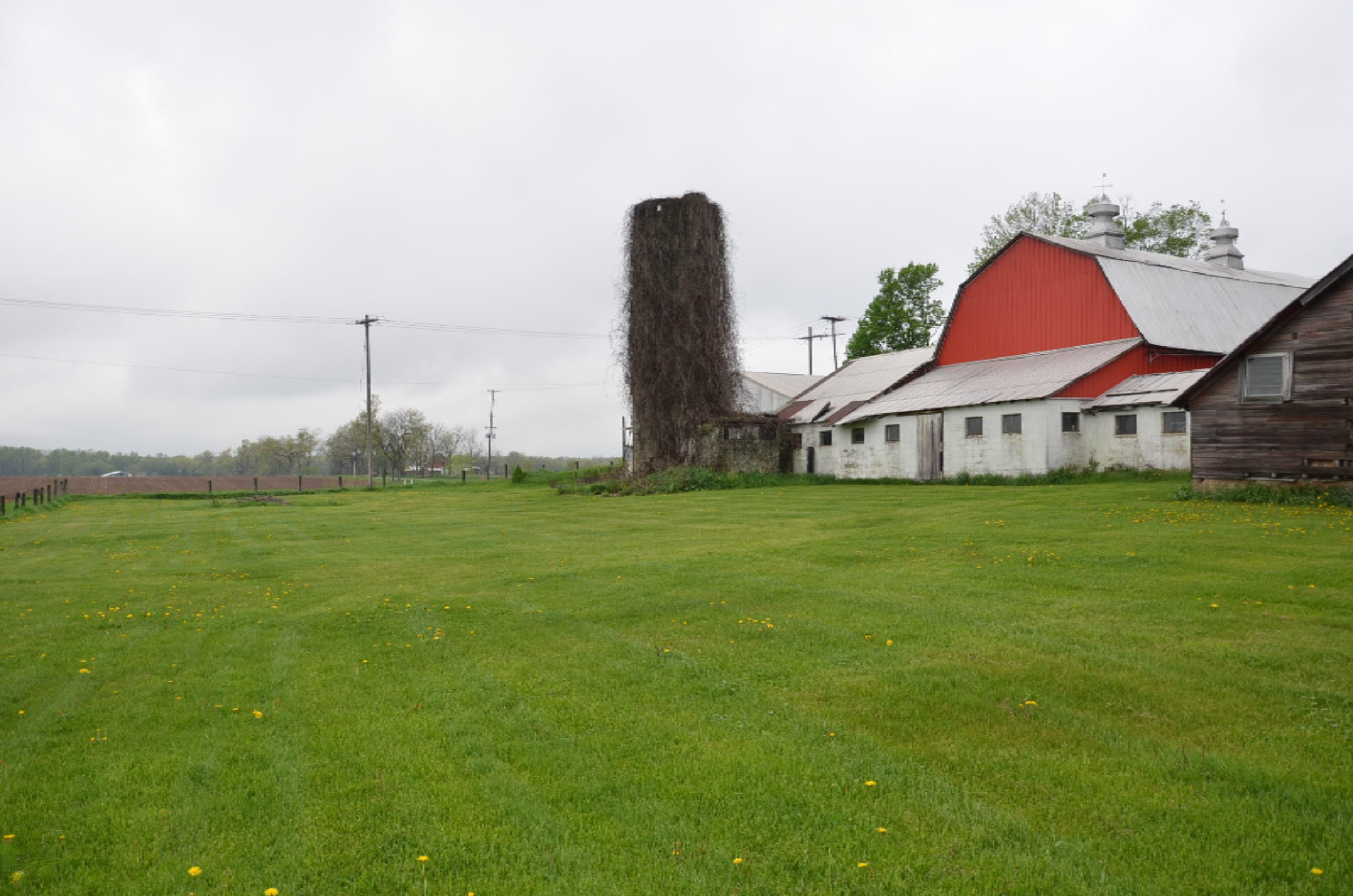 8625 Milo Road Delton, MI 49046 - Photo 5 of 31 DSC_9522