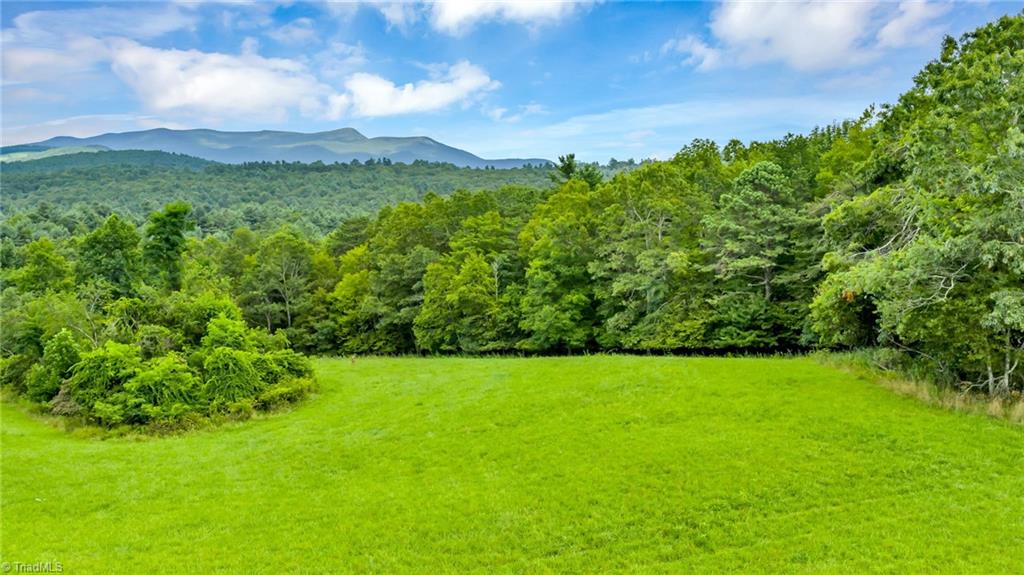 Tbd Murphy Bend Road Ennice, NC 28623 - Photo 12 of 50