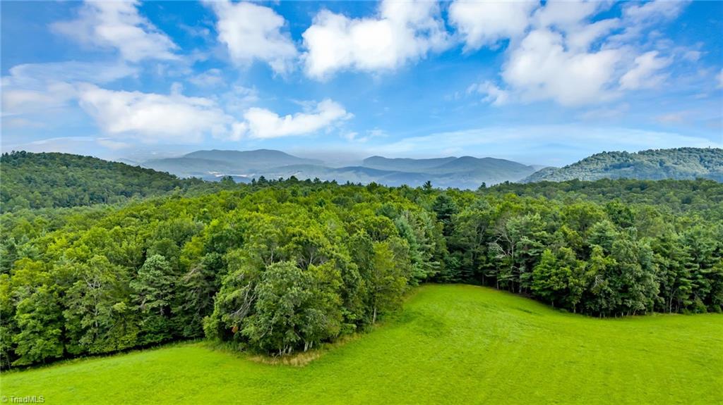 Tbd Murphy Bend Road Ennice, NC 28623 - Photo 13 of 50