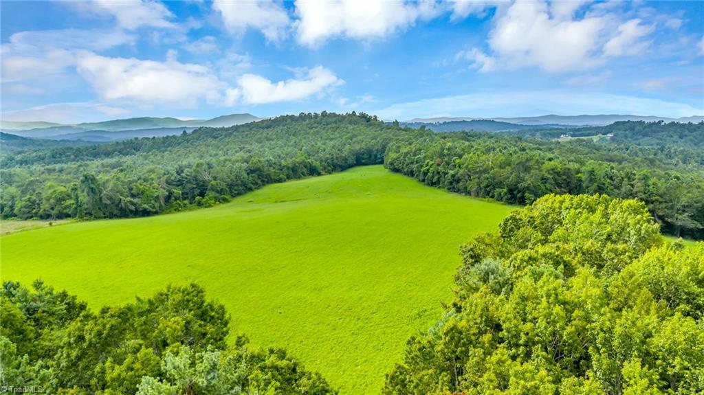 Tbd Murphy Bend Road Ennice, NC 28623 - Photo 19 of 50