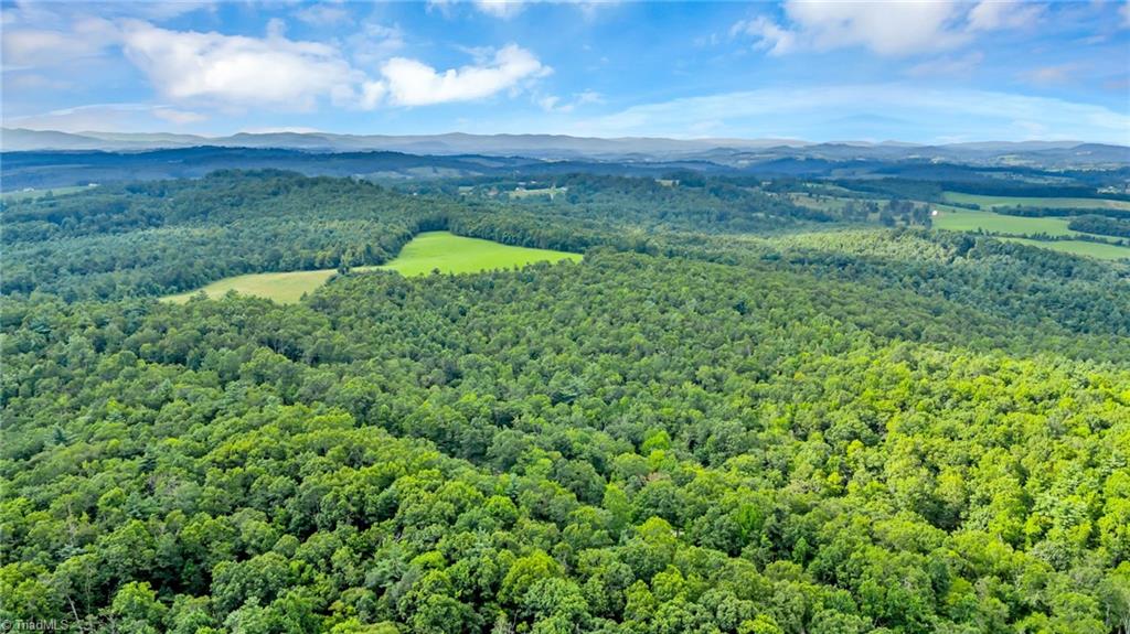 Tbd Murphy Bend Road Ennice, NC 28623 - Photo 21 of 50