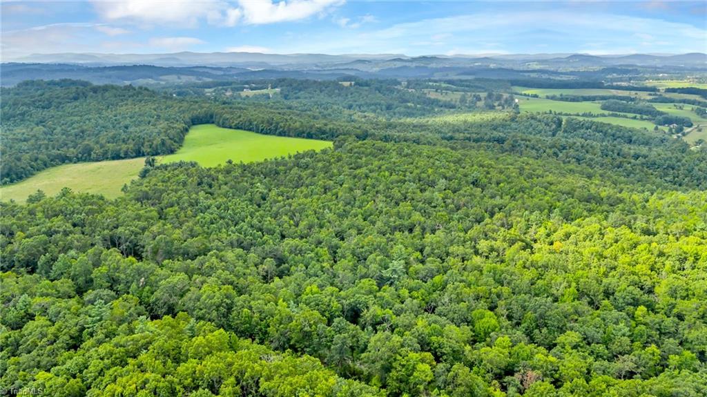 Tbd Murphy Bend Road Ennice, NC 28623 - Photo 24 of 50