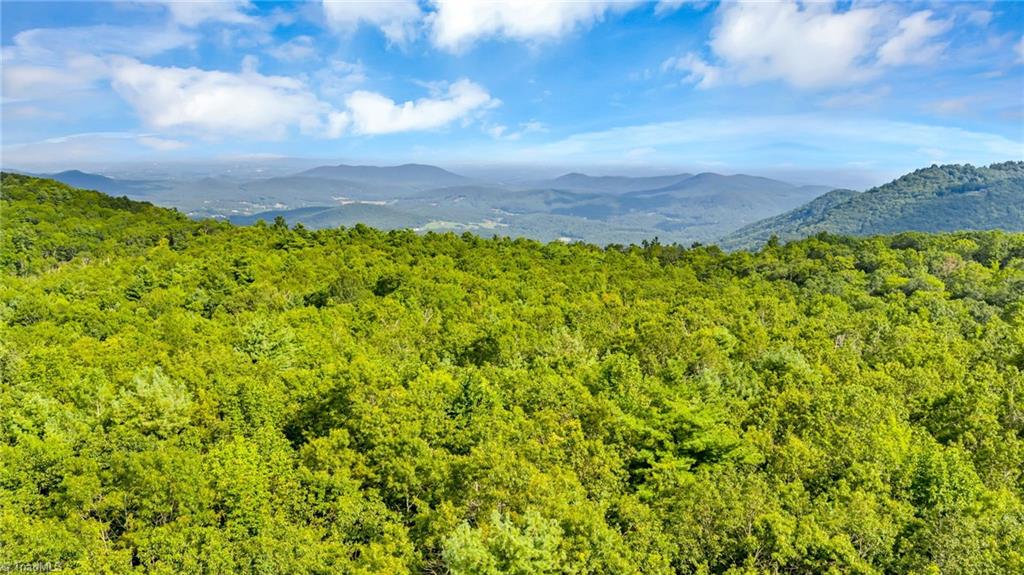 Tbd Murphy Bend Road Ennice, NC 28623 - Photo 25 of 50