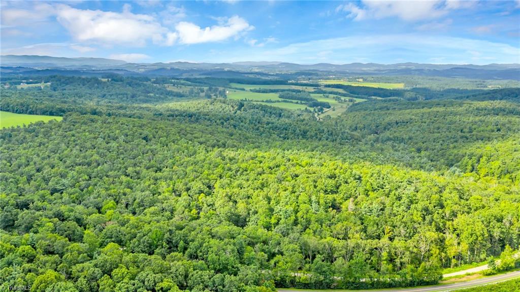 Tbd Murphy Bend Road Ennice, NC 28623 - Photo 28 of 50