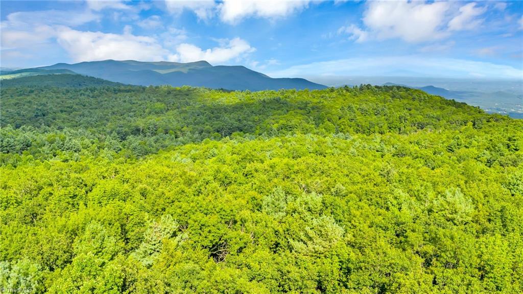 Tbd Murphy Bend Road Ennice, NC 28623 - Photo 29 of 50