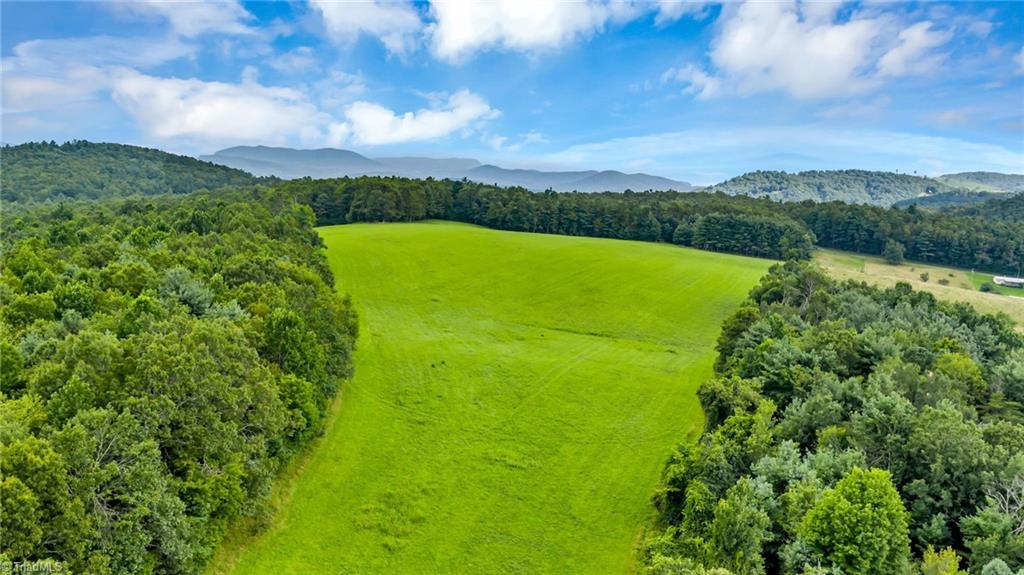 Tbd Murphy Bend Road Ennice, NC 28623 - Photo 3 of 50