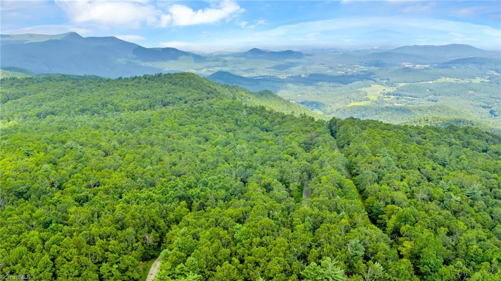 Tbd Murphy Bend Road Ennice, NC 28623 - Photo 32 of 50