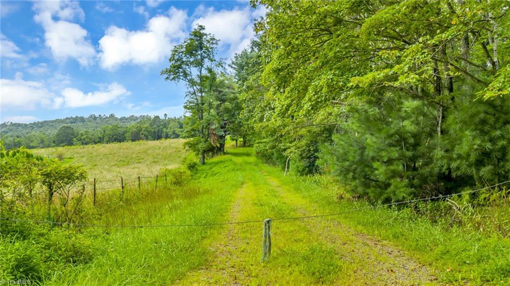 Tbd Murphy Bend Road Ennice, NC 28623 - Photo 33 of 50