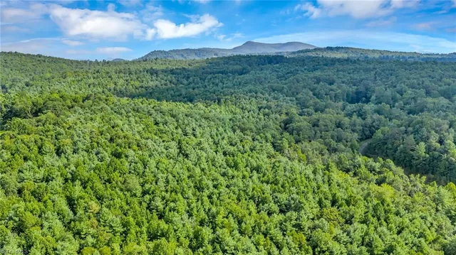 $1,577,200 | Tbd Murphy Bend Road, Ennice, NC 28623