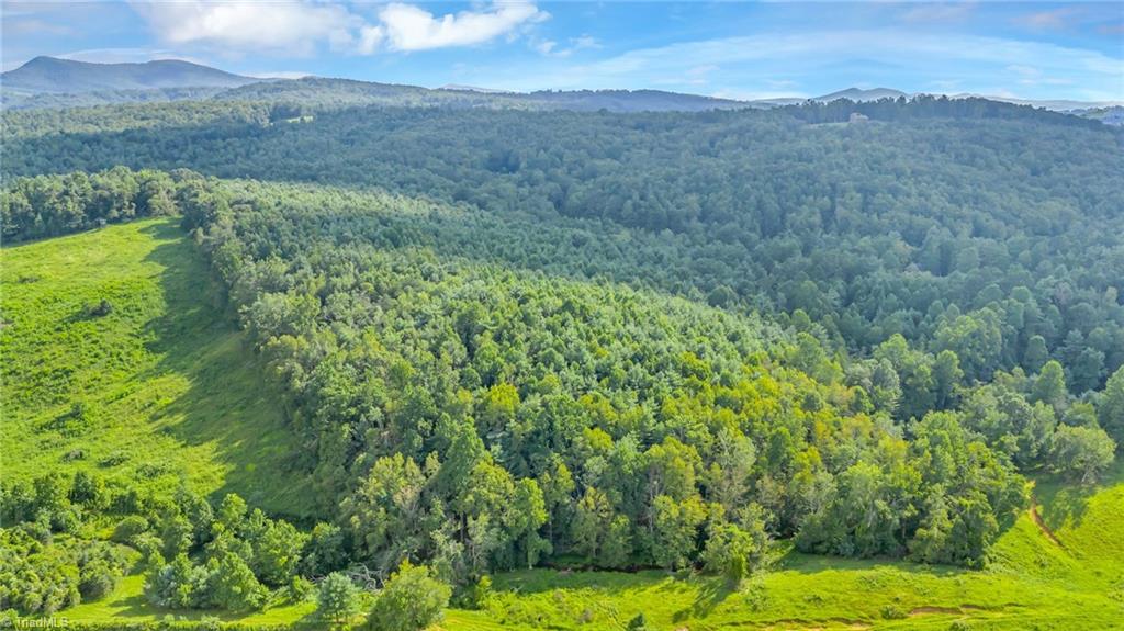 Tbd Murphy Bend Road Ennice, NC 28623 - Photo 37 of 50