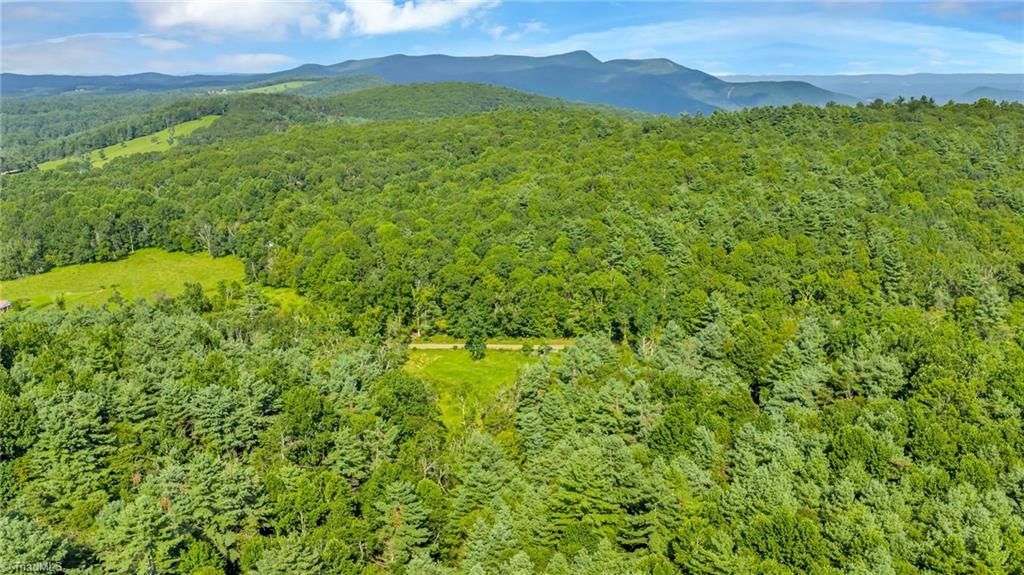 Tbd Murphy Bend Road Ennice, NC 28623 - Photo 39 of 50