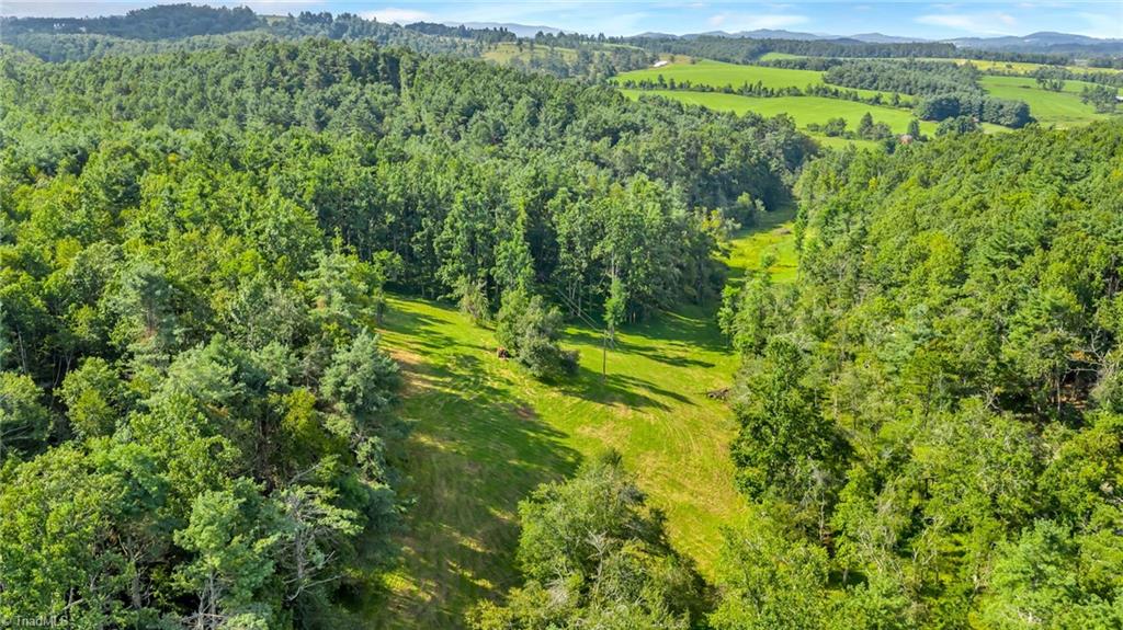 Tbd Murphy Bend Road Ennice, NC 28623 - Photo 41 of 50