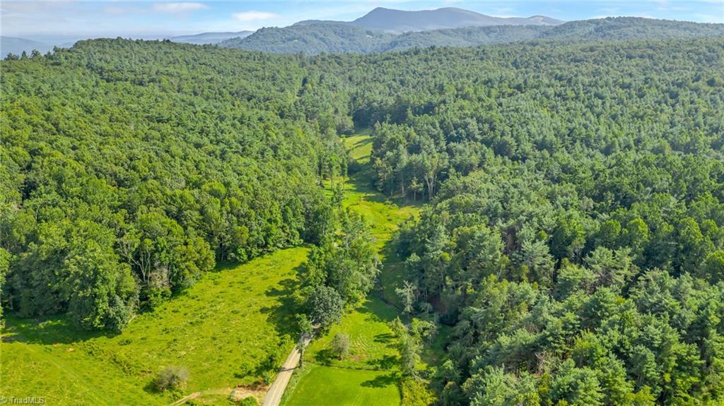 Tbd Murphy Bend Road Ennice, NC 28623 - Photo 45 of 50