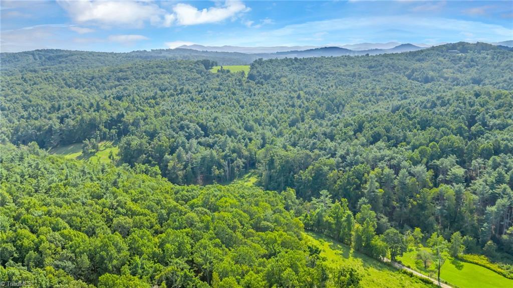 Tbd Murphy Bend Road Ennice, NC 28623 - Photo 46 of 50