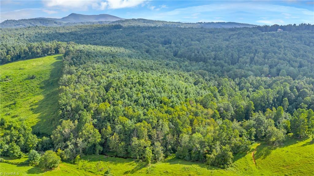 Tbd Murphy Bend Road Ennice, NC 28623 - Photo 47 of 50