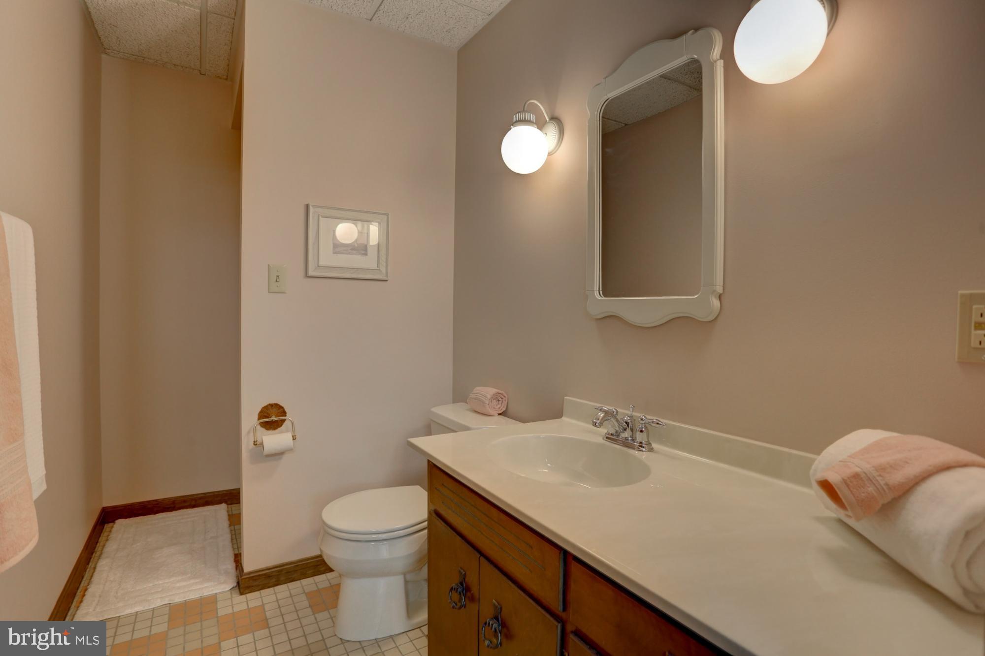 2601 Old Orchard Road Lancaster, PA 17601 - Photo 42 of 59 Lower level full bath