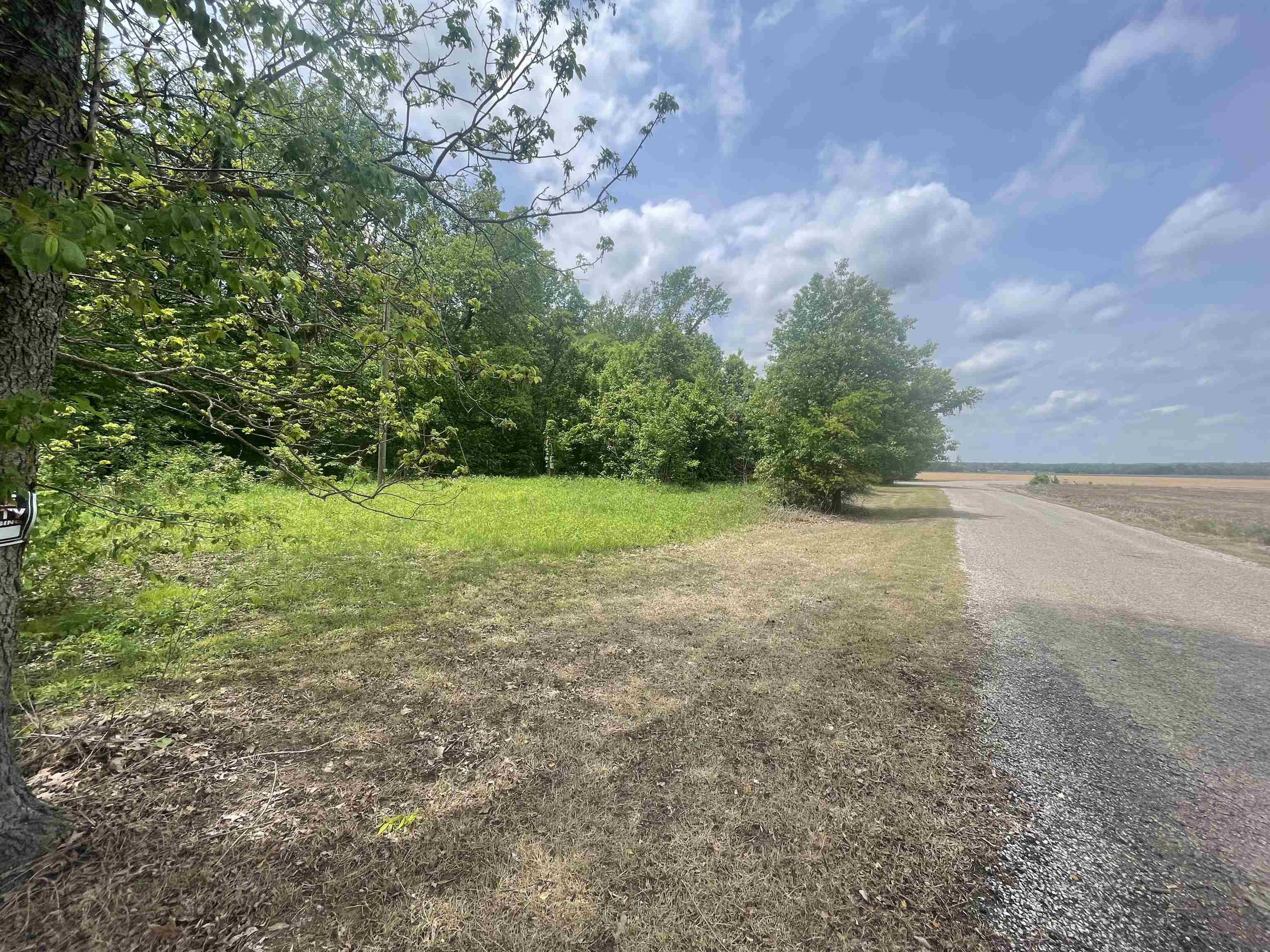 1297 Gay Road Burlison, TN 38015 - Photo 1 of 12 Gallery Image 1