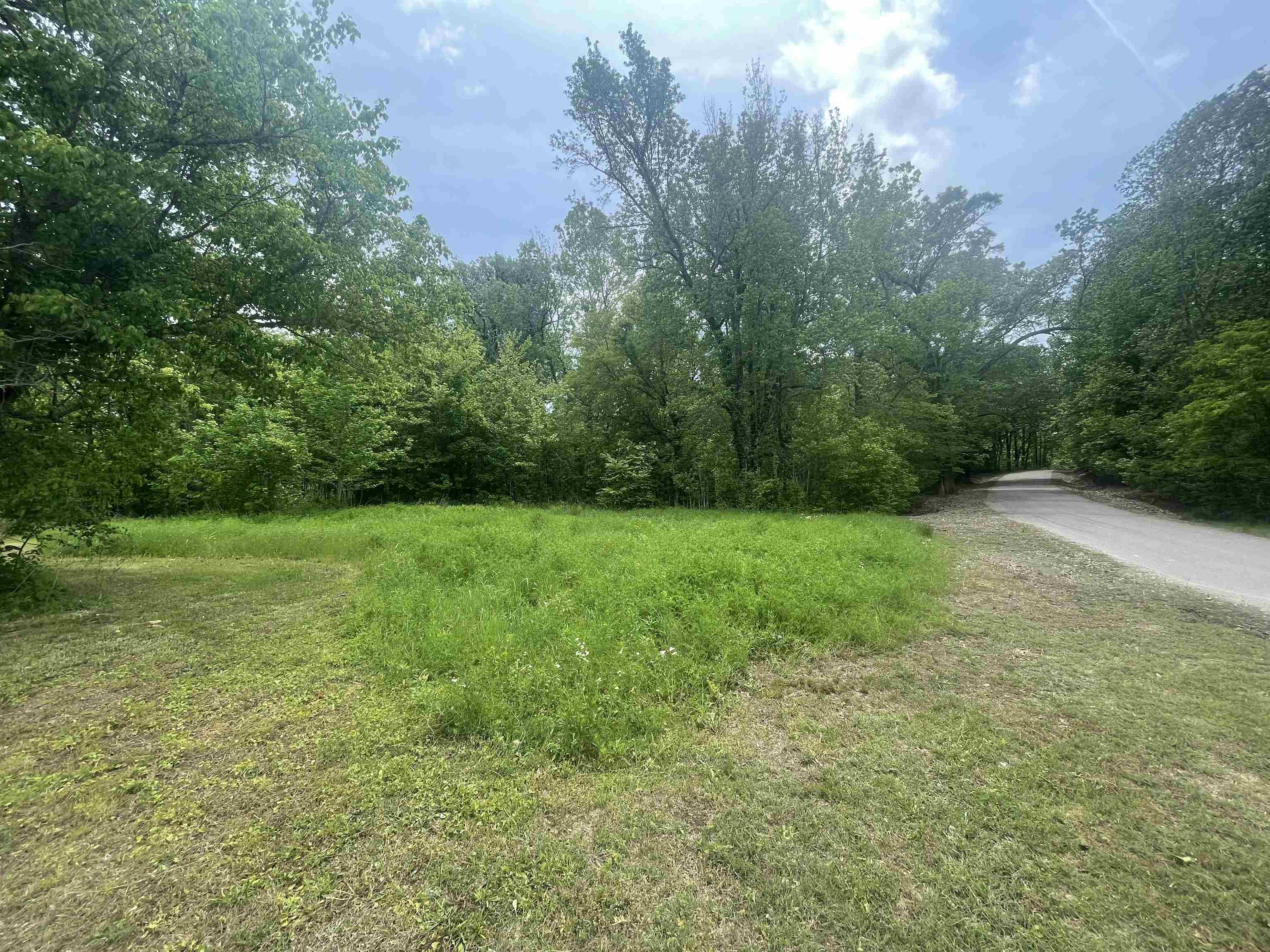 1297 Gay Road Burlison, TN 38015 - Photo 3 of 12 Gallery Image 3