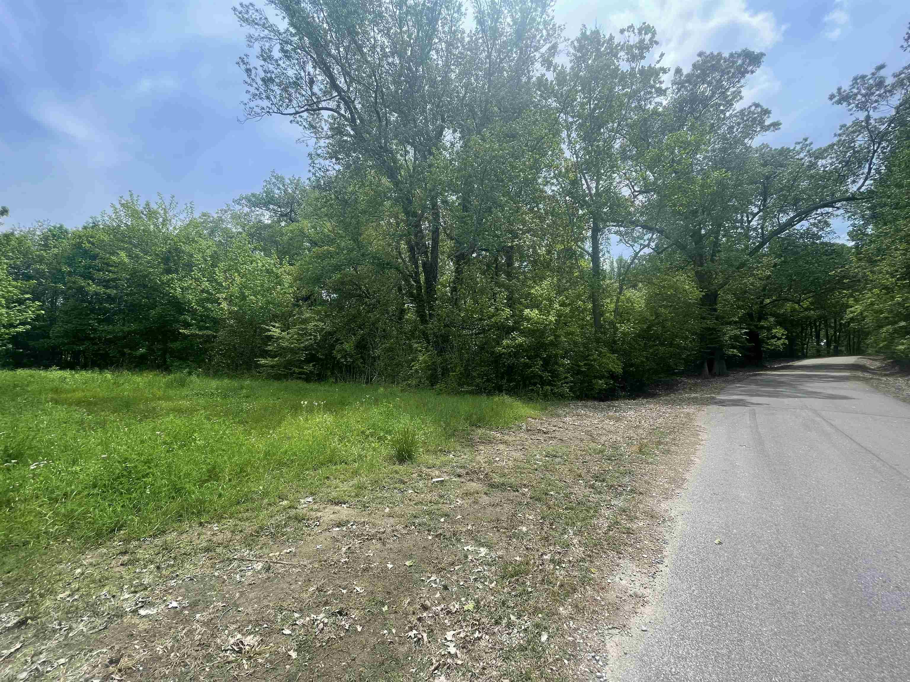 1297 Gay Road Burlison, TN 38015 - Photo 4 of 12 Gallery Image 4