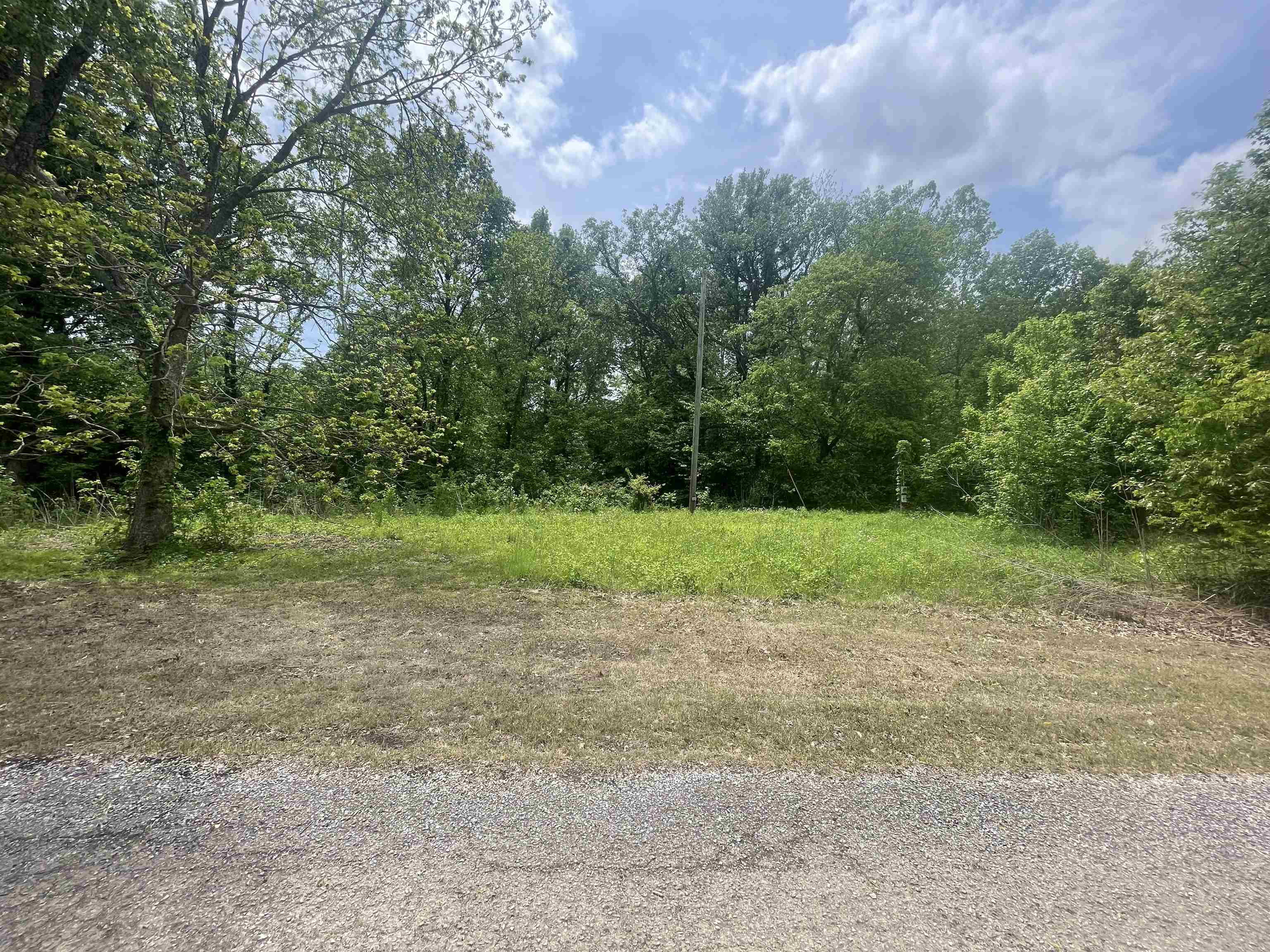 1297 Gay Road Burlison, TN 38015 - Photo 7 of 12 Gallery Image 7
