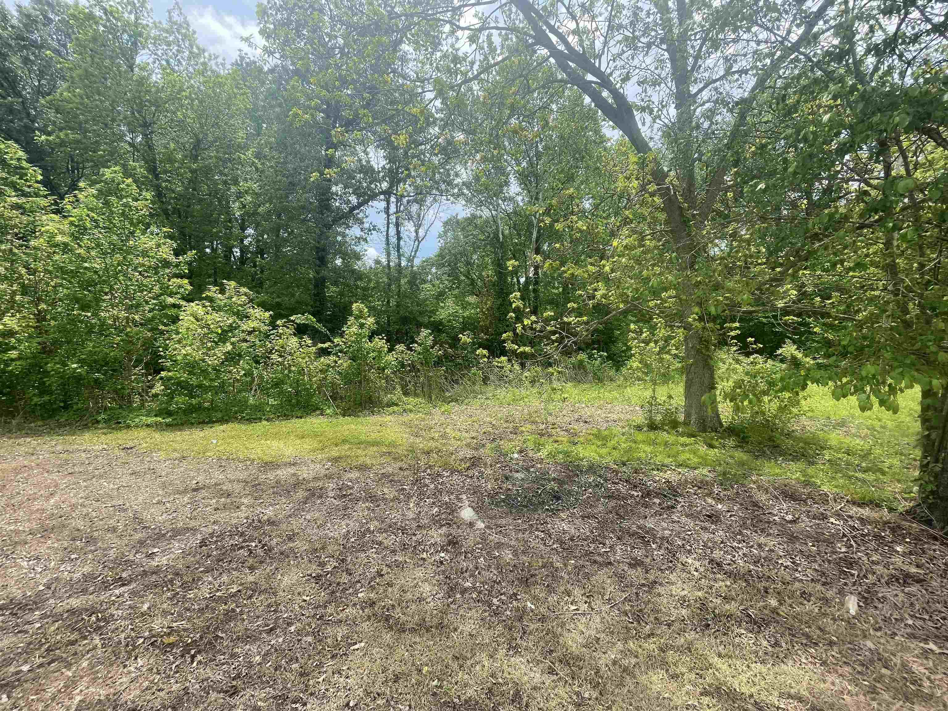 1297 Gay Road Burlison, TN 38015 - Photo 8 of 12 Gallery Image 8