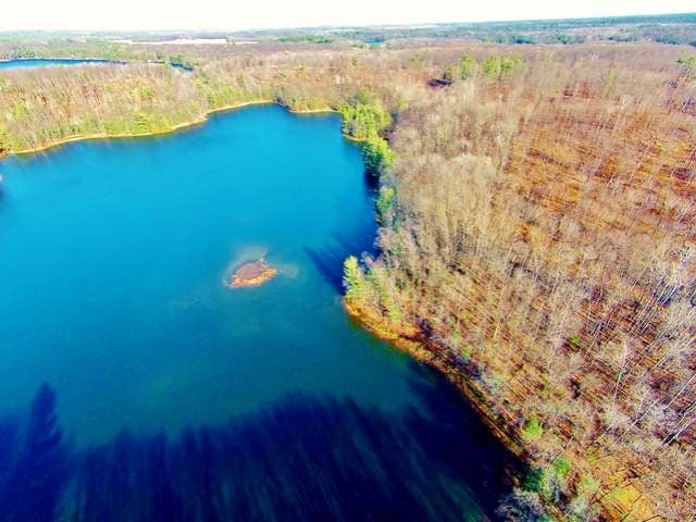 254-acres Kaubashine Road Hazelhurst, WI 54531 - Photo 23 of 78 Gallery Image 23