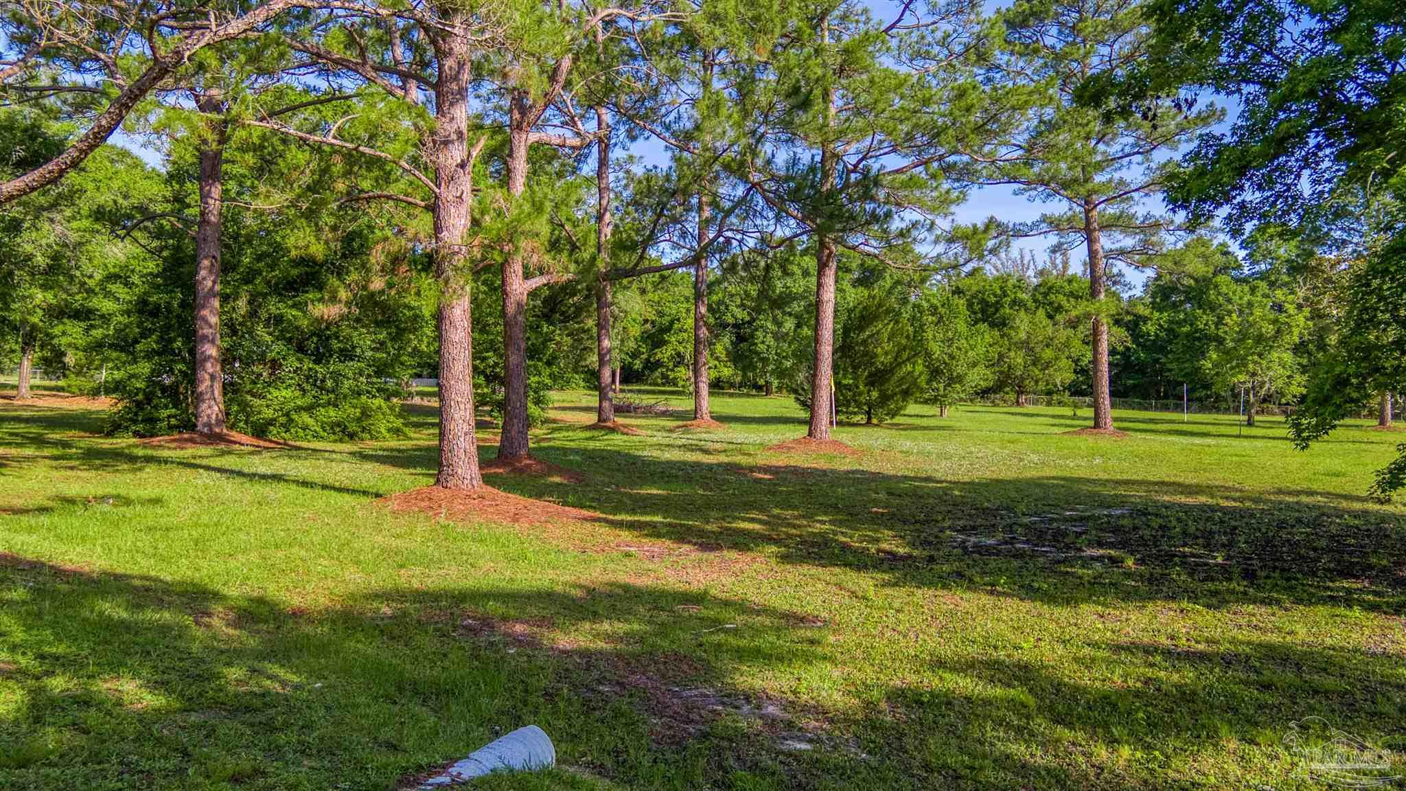 Morrison Road Milton, FL 32583 - Photo 5 of 12 a view of a park with large trees